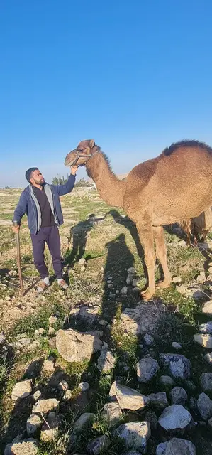 قيس العصا، فبراير 2024