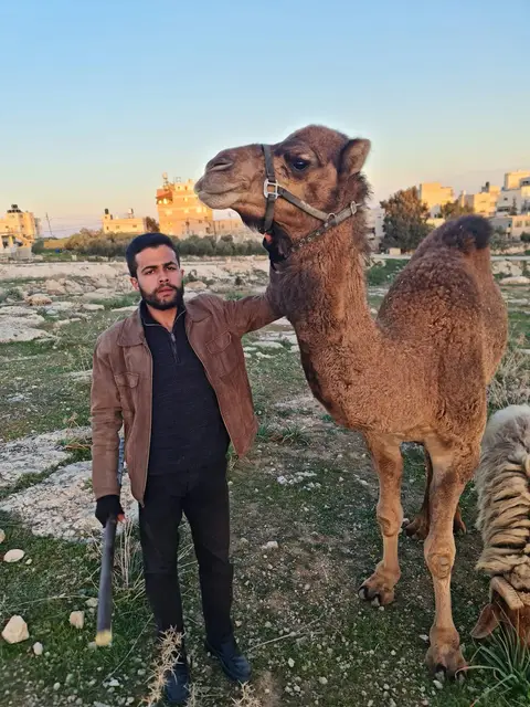 قيس العصا، أغسطس 2024